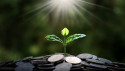 Implementations of Green New Deals are faltering due to economic pressures, but the movement could be the just transition society needs